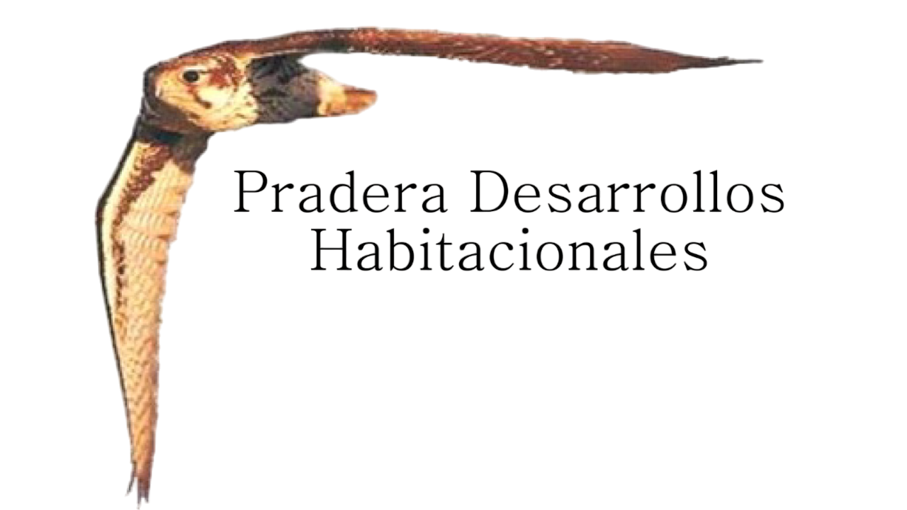 Pradera Desarrollos